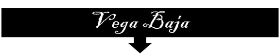Vega Baja Baner